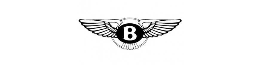 Hãng xe ô tô BENTLEY, Đại lý phân phối xe BENTLEY, BENTLEY AUTO BRAND, BENTLEY MOTOR, BENTLEY CAR BRAND